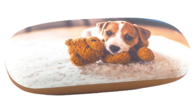 800100 ZVÍŘÁTKA -POUZDRO NA BRÝLE S MIKROVLÁKNEM - motiv: štěně vlčák