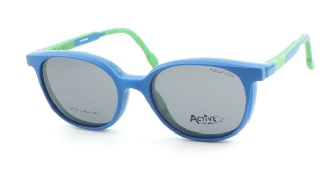 ACTIVE FRAMES  F0655