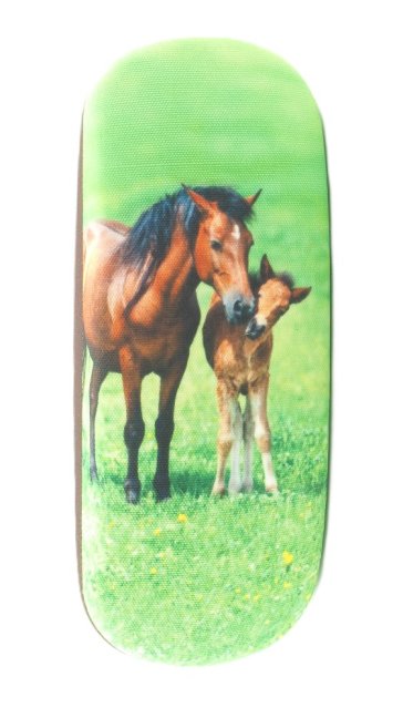 800100 ZVÍŘÁTKA -POUZDRO NA BRÝLE S MIKROVLÁKNEM - motiv: kůň