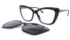 POLAR 498 C77