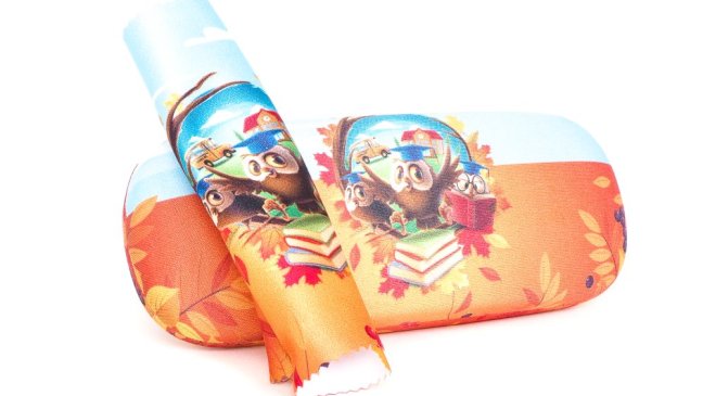 800082 POUZDRO NA BRÝLE S MOTIVEM - motiv: madagaskar