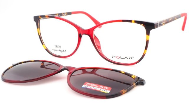 POLAR 487